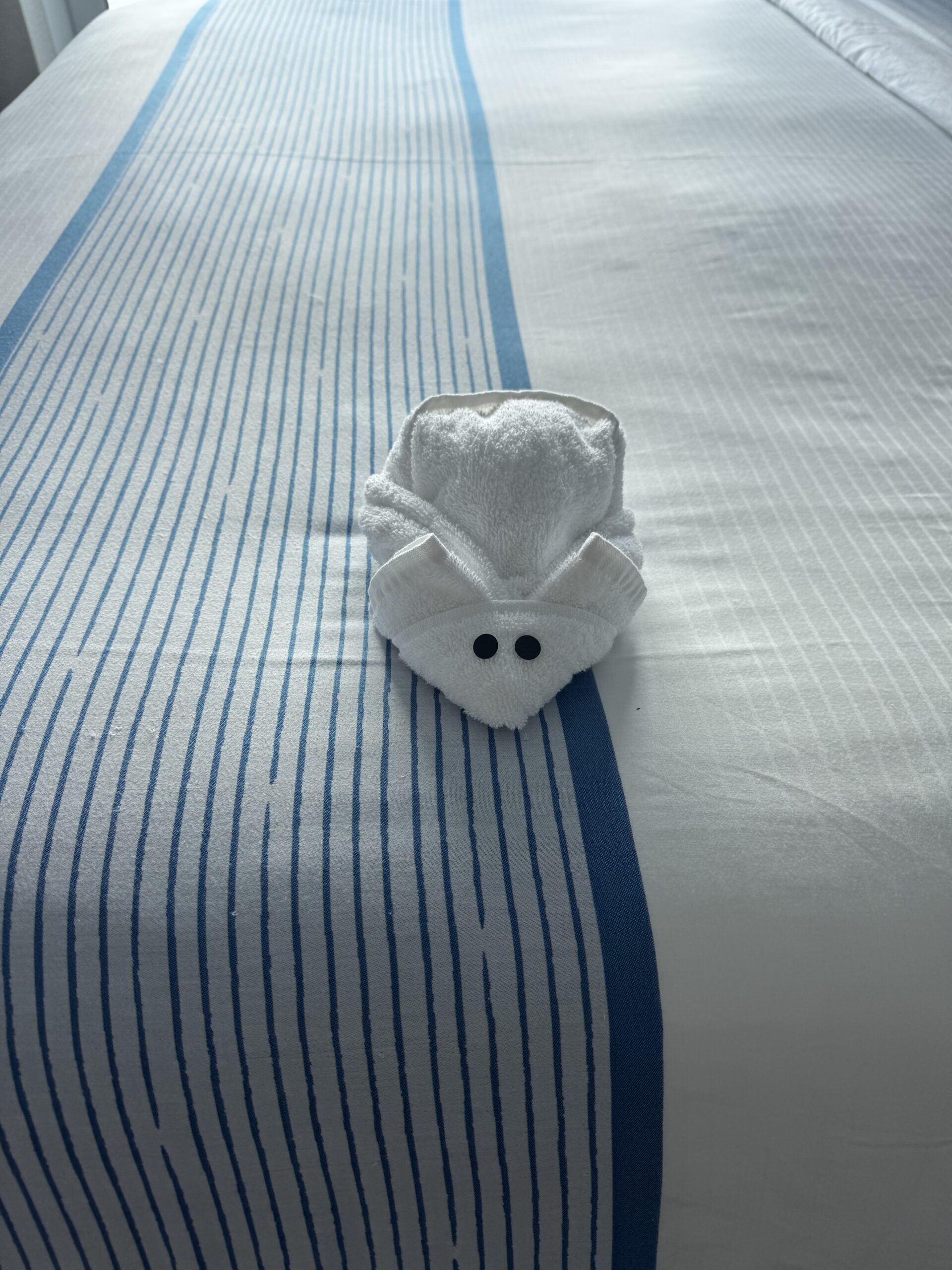 Carnival Celebration Balcony Review — The Best Way to Cruise?